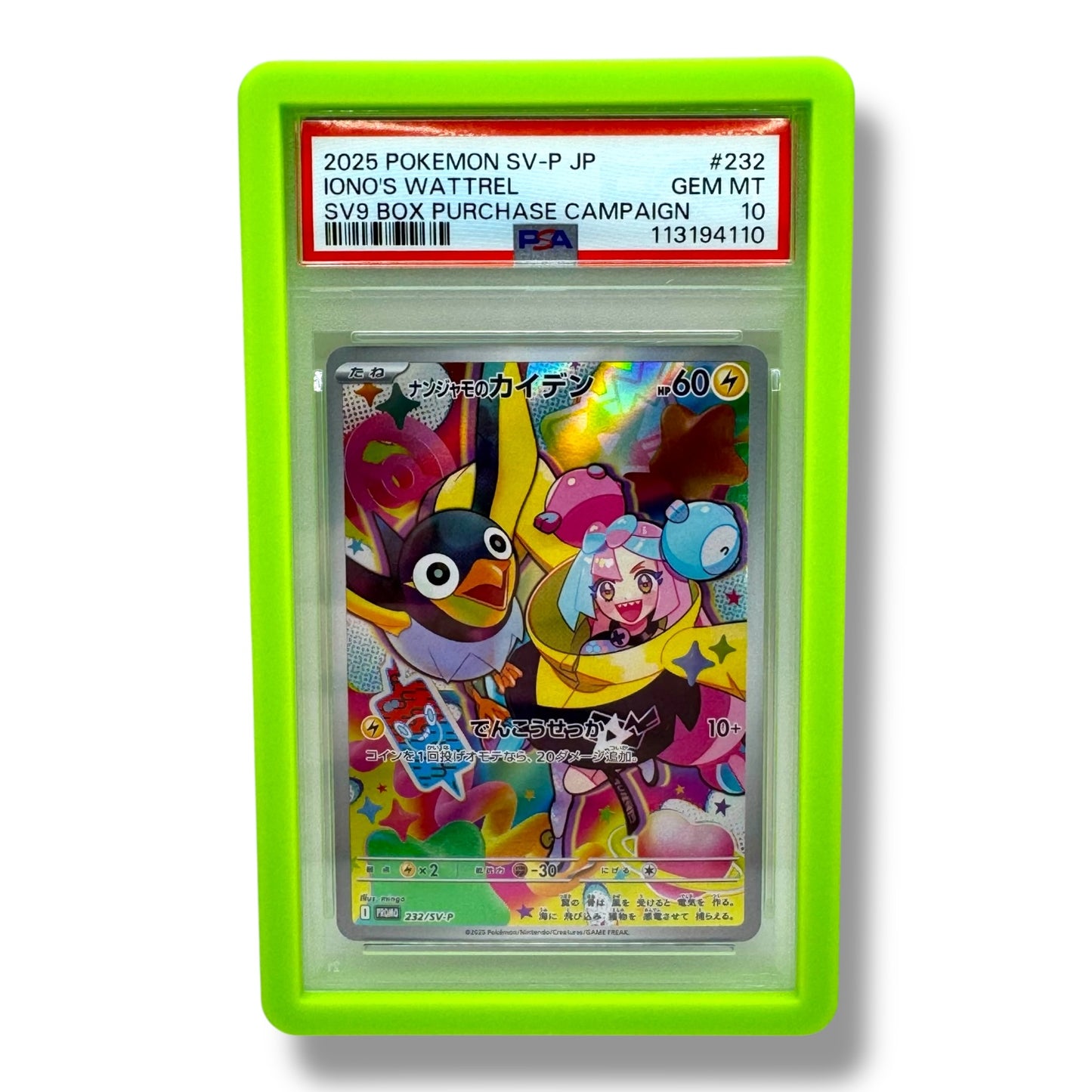 Graded Card Protector - Slab Guard