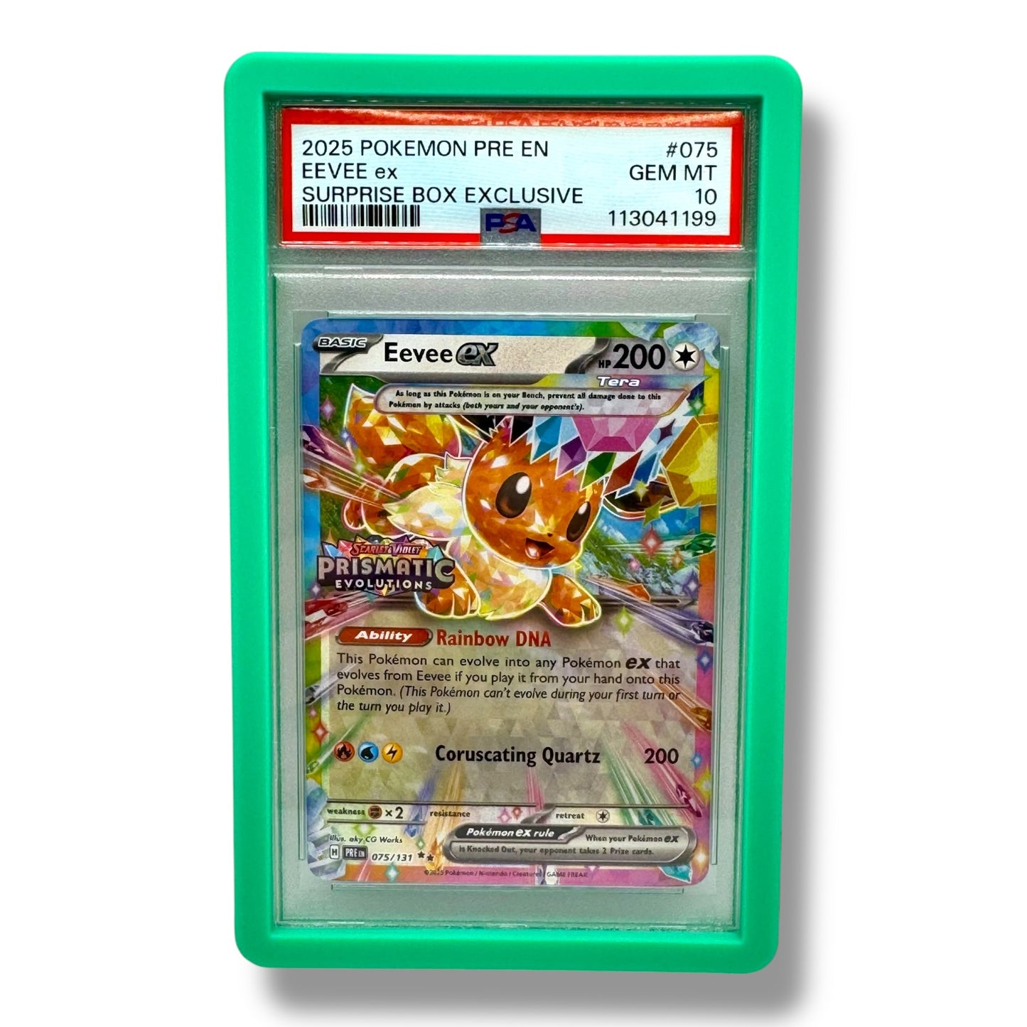 Graded Card Protector - Slab Guard